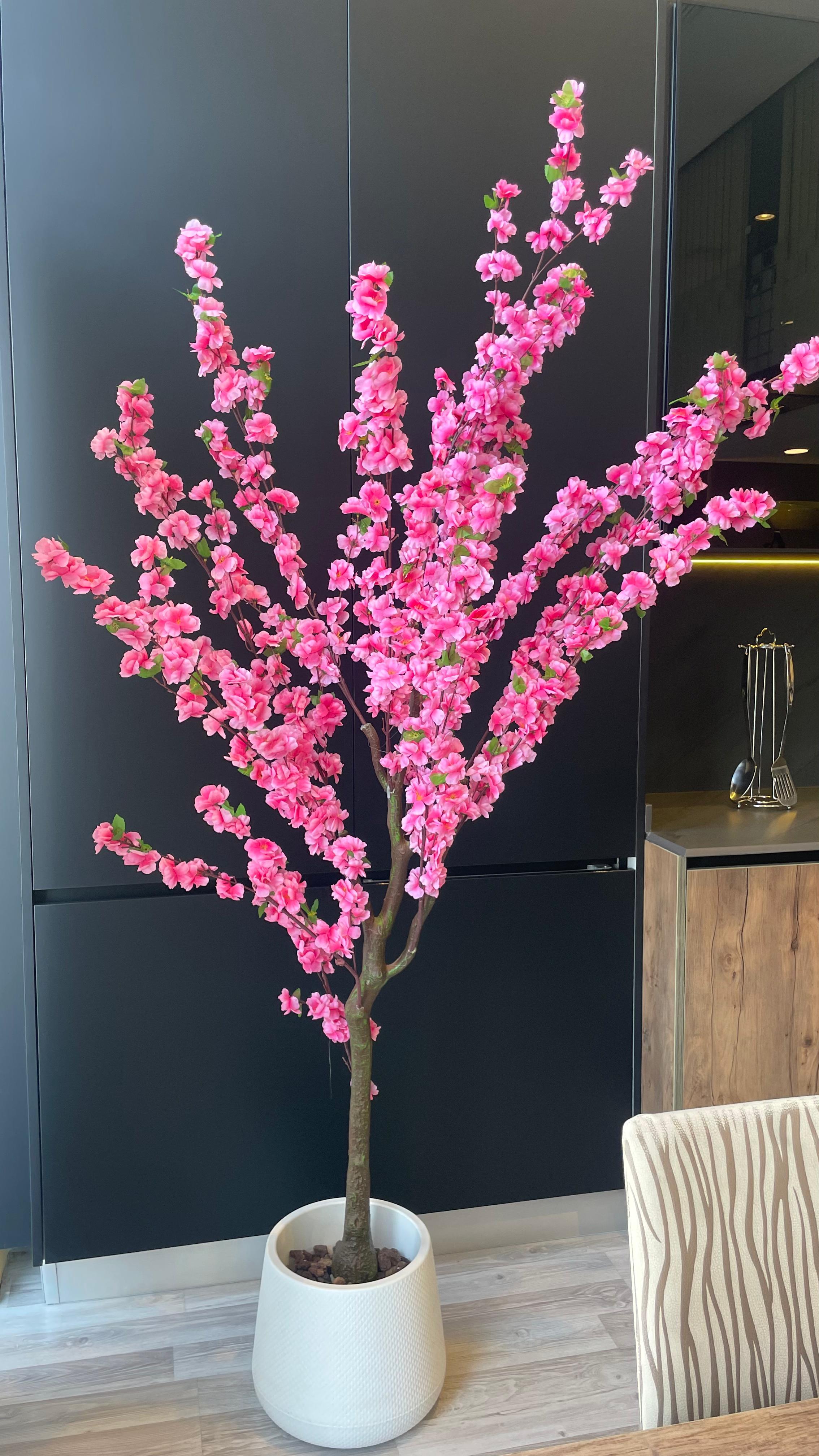 شجرة ورد اللوز