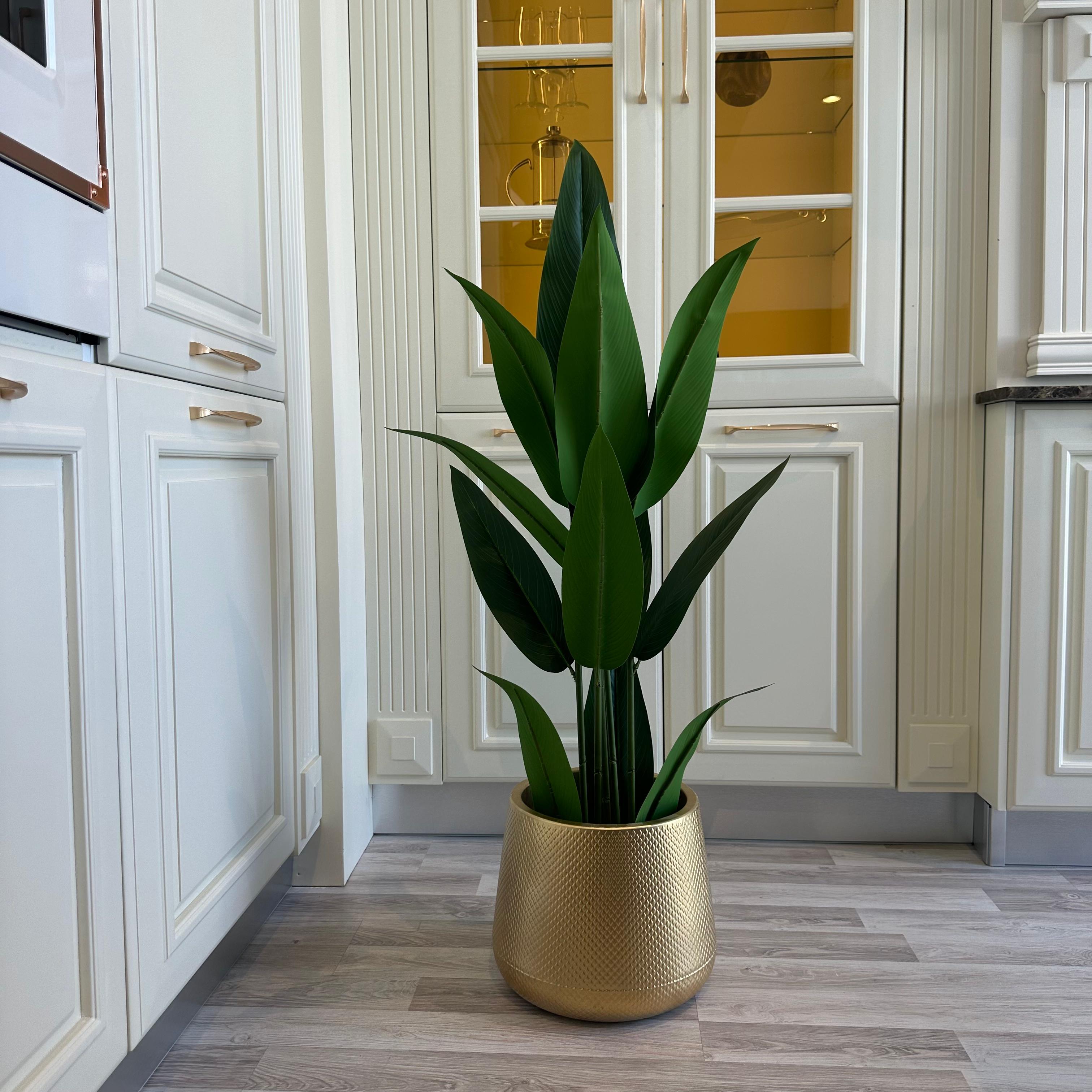 عصفور الجنة