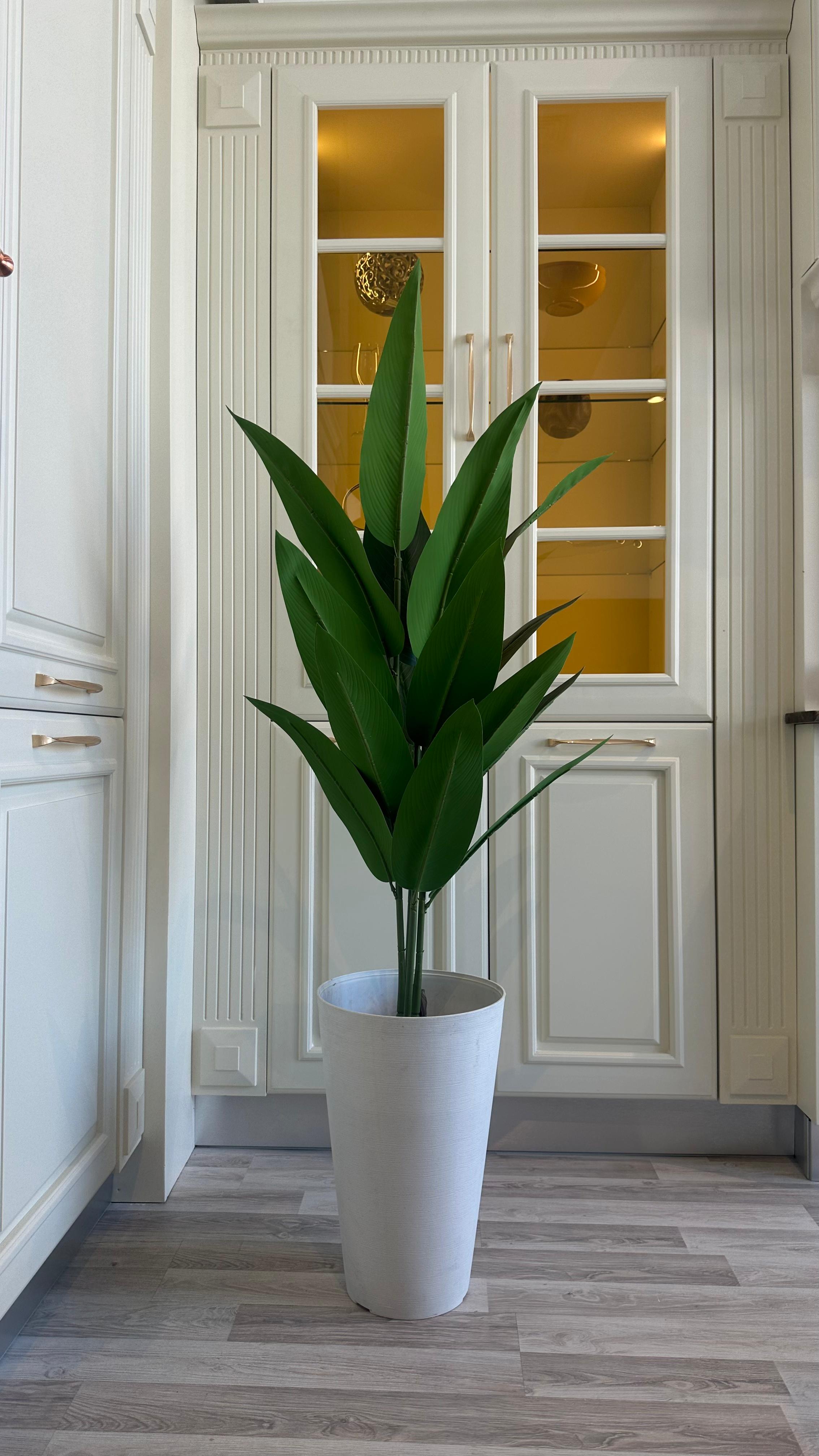 عصفور الجنة