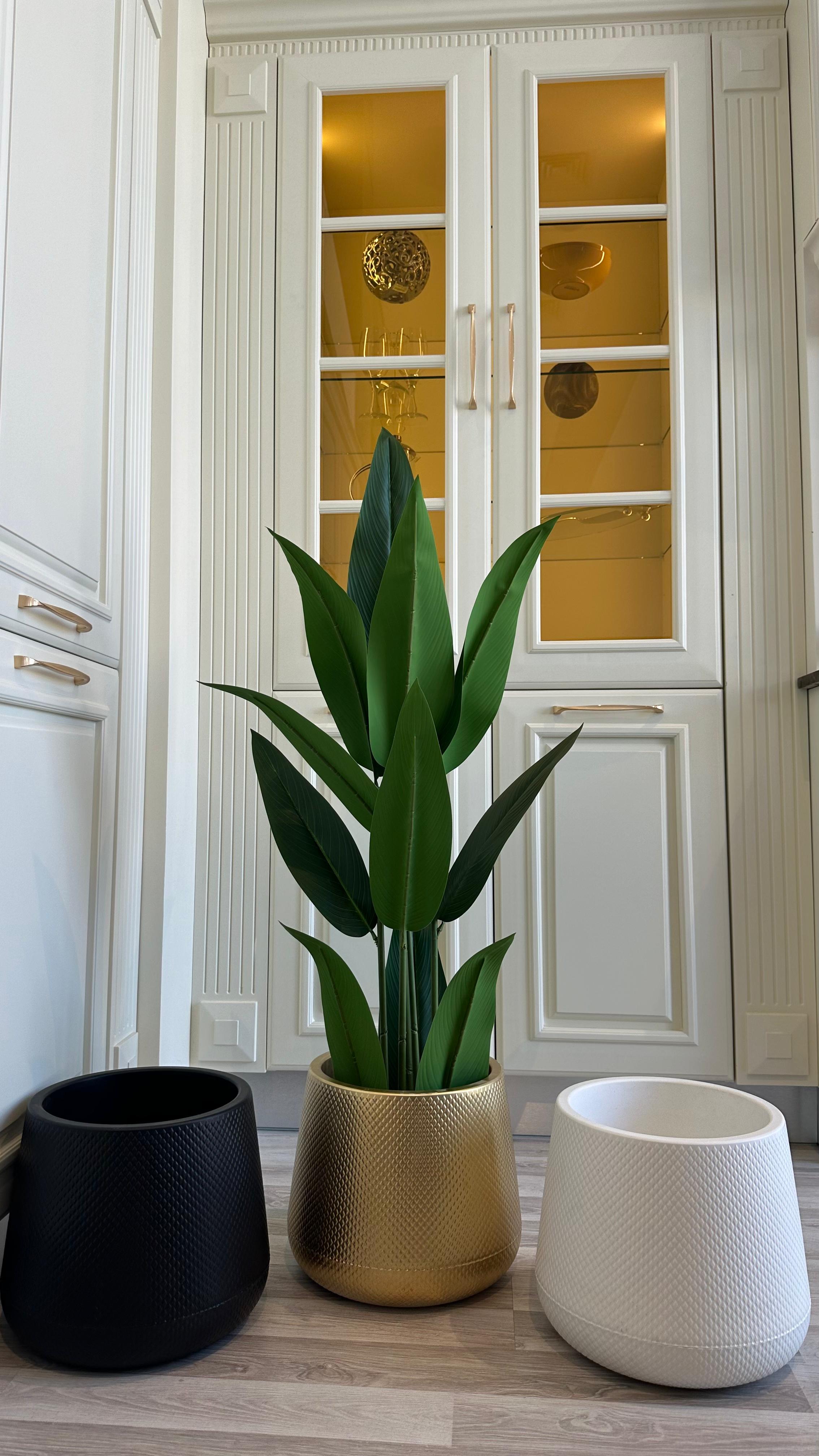 عصفور الجنة