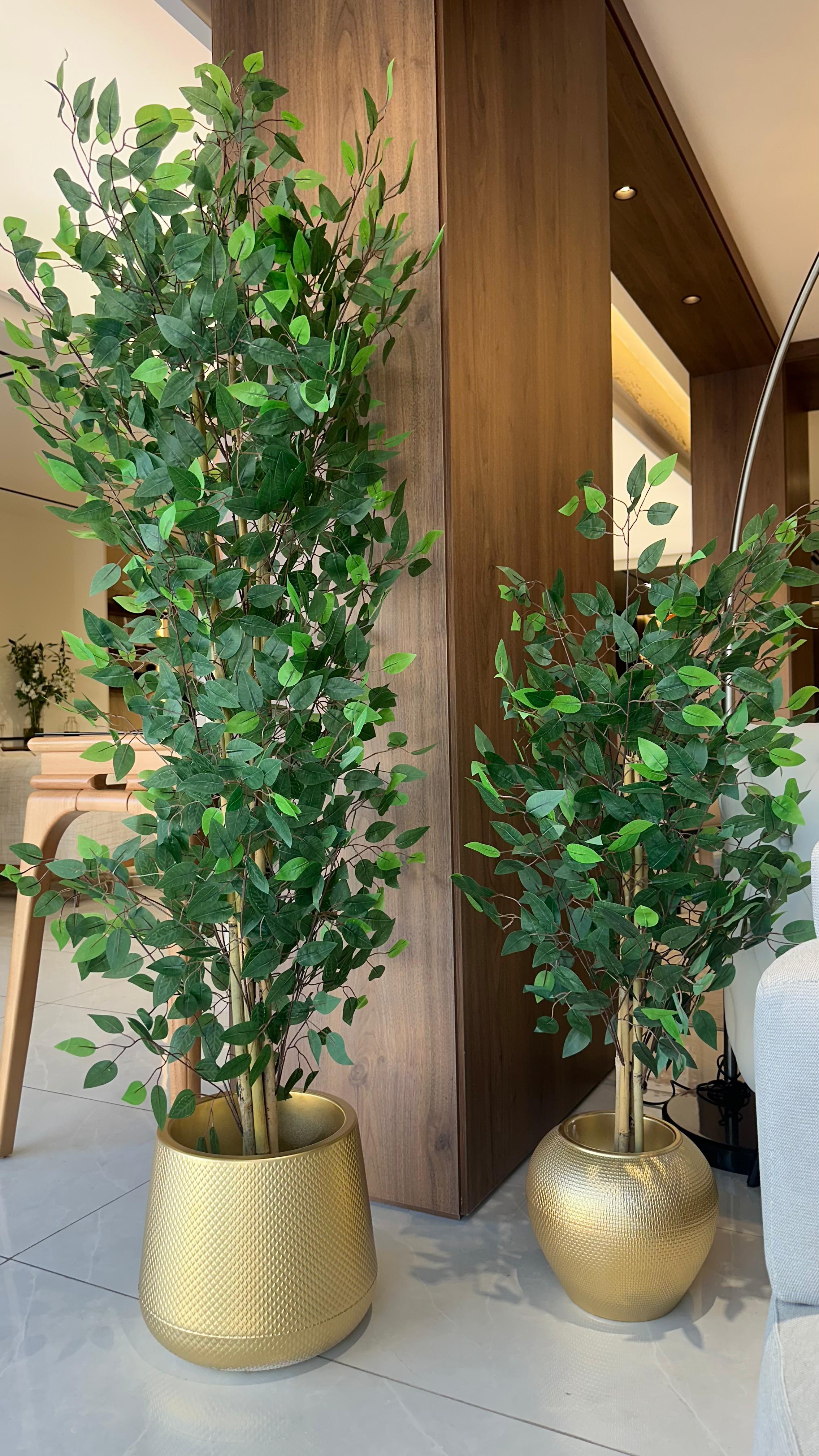 عرض حصري فيكس