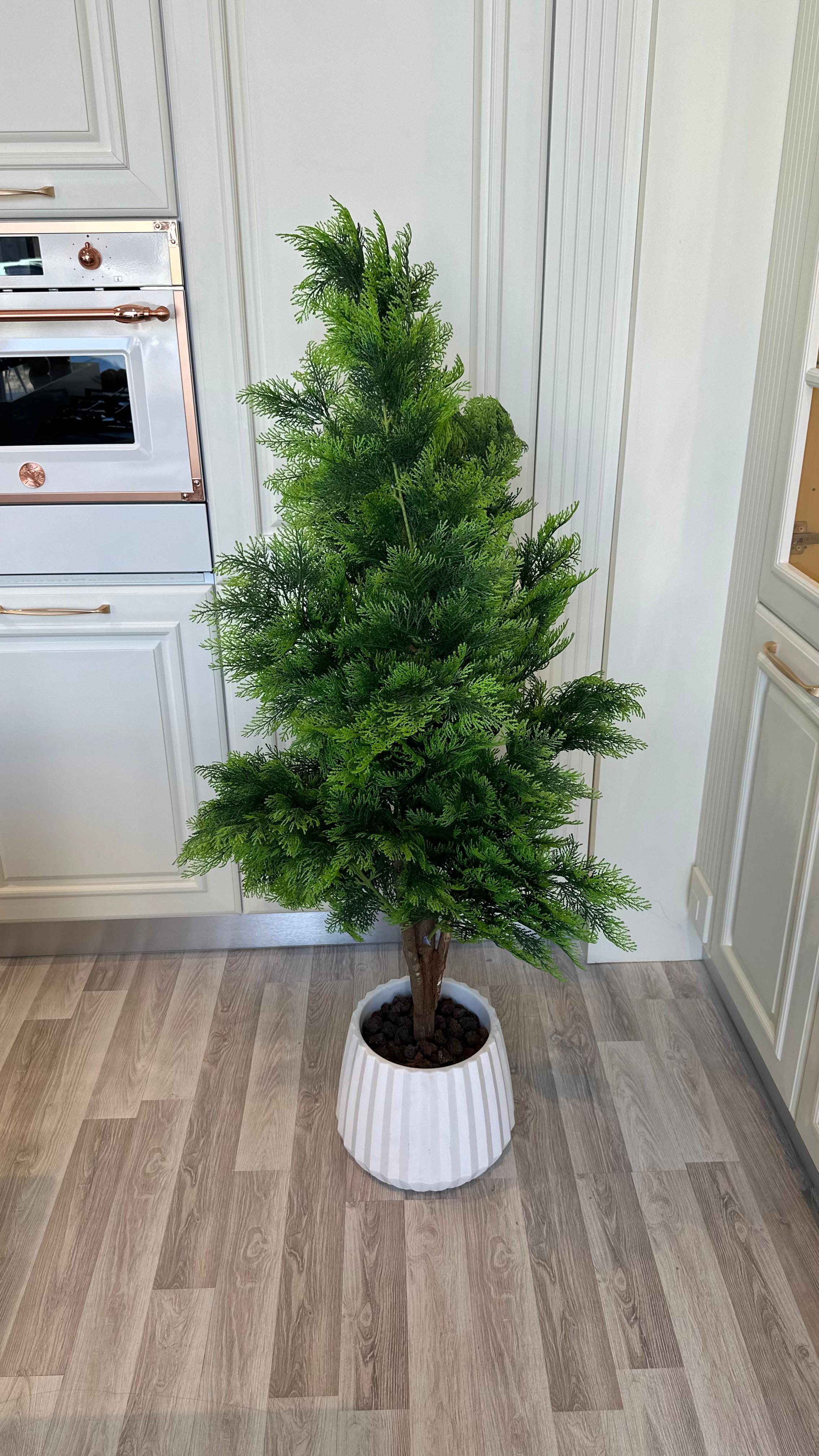 شجرة الثويا